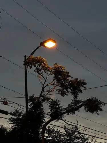 Warm light, cool evening vibes.